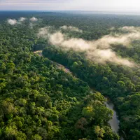 Amazon Rainforest